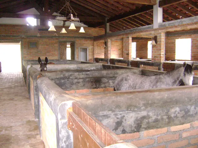Proyecto Inmobiliario Pesebreras y Establos